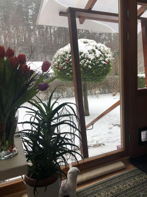Waldidyll Villa Neuzelle Eksteriør bilde